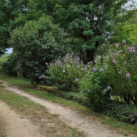 Ma Maison De Famille En Quercy Avec Piscine *