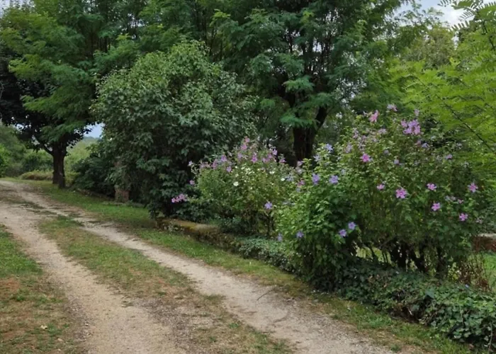 Ma Maison De Famille En Quercy Avec Piscine *